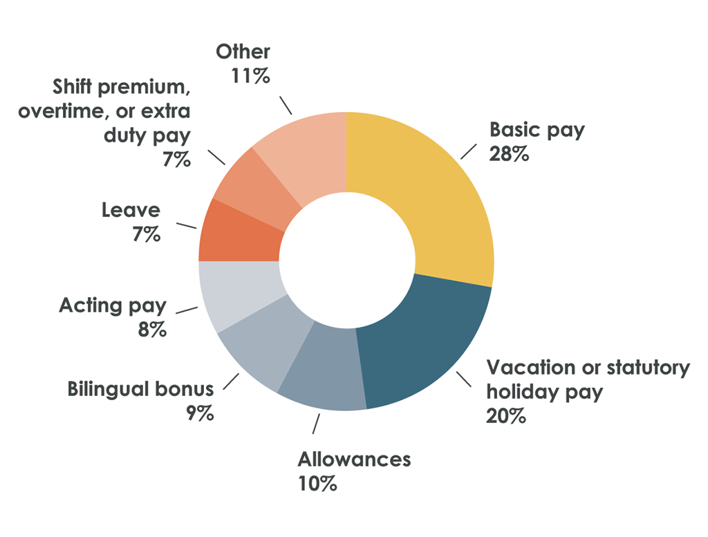 Pie chart showing the elements of employee pay in which we noted errors during our audit work for 2018–2019