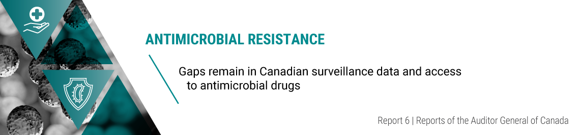 Report 6—Antimicrobial Resistance