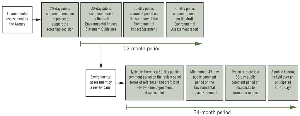 Flow chart showing two types of processes for environmental assessments