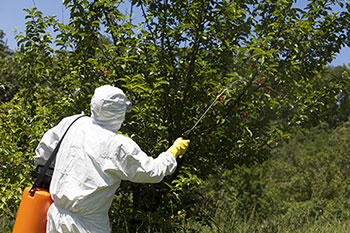 Photo of person wearing protective gear while applying pesticide
