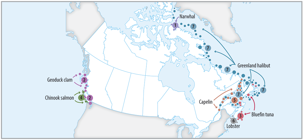 Map of Canada showing locations of the major fish stocks examined