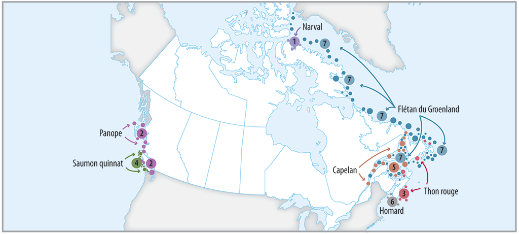Carte du Canada montrant l’emplacement des principaux stocks de poissons examinés