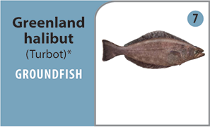This photograph shows a Greenland halibut, or turbot