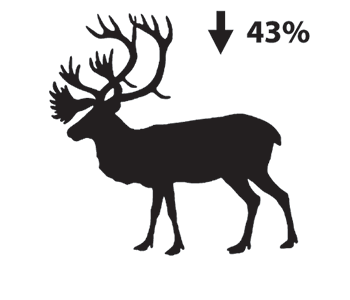 Silhouette depiction of a caribou