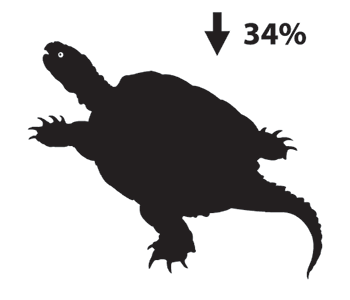 Silhouette depiction of a snapping turtle