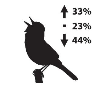Silhouette depiction of a warbler