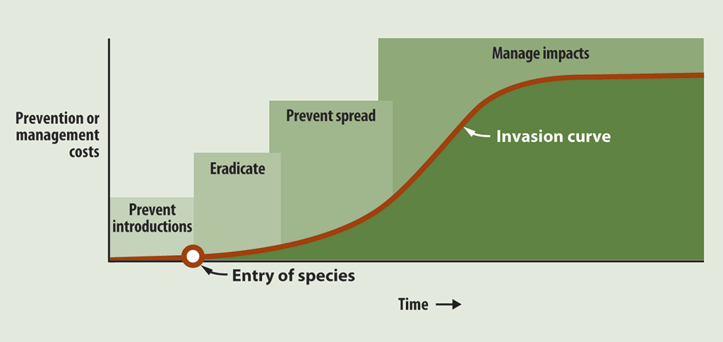 Chart showing that preventing the introduction of aquatic invasive species costs less than managing established species