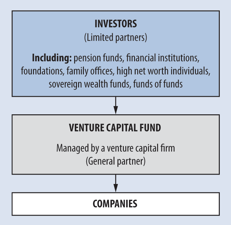 Business plan for raising venture capital