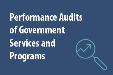 Performance Audits of Government Services and Programs