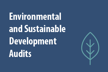 Environmental and Sustainable Development Audits