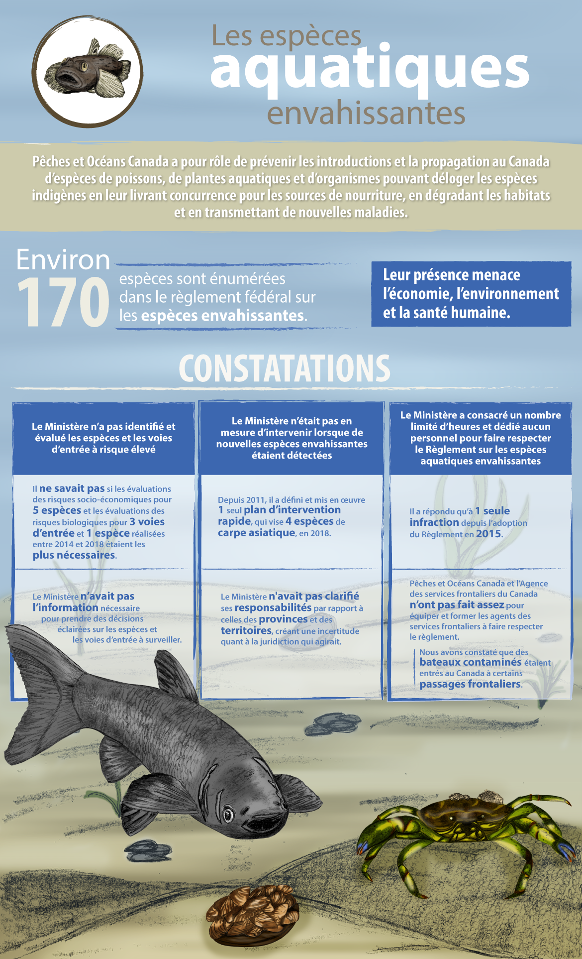 Cette infographie présente les constatations de la vérification sur les espèces aquatiques envahissantes