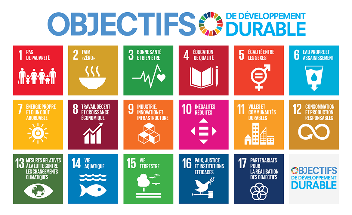Icônes et logo des objectifs de développement durable des Nations Unies