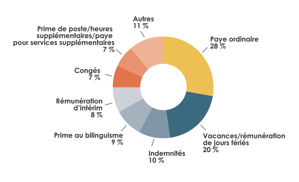 Diagramme circulaire qui montre les éléments de la paye des employés dans lesquels nous avons relevé des erreurs lors de nos travaux d’audit de 2018-2019 Diagramme circulaire qui montre les éléments de la paye des employés dans lesquels nous avons relevé des erreurs lors de nos travaux d’audit de 2018-2019