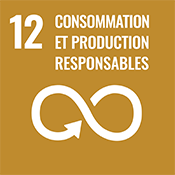 Objectif de développement durable numéro 12 des Nations Unies : Consommation et production responsables