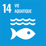 Objectif de développement durable numéro 14 des Nations Unies : Vie aquatique