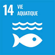 Objectif de développement durable numéro 14 des Nations Unies : Vie aquatique