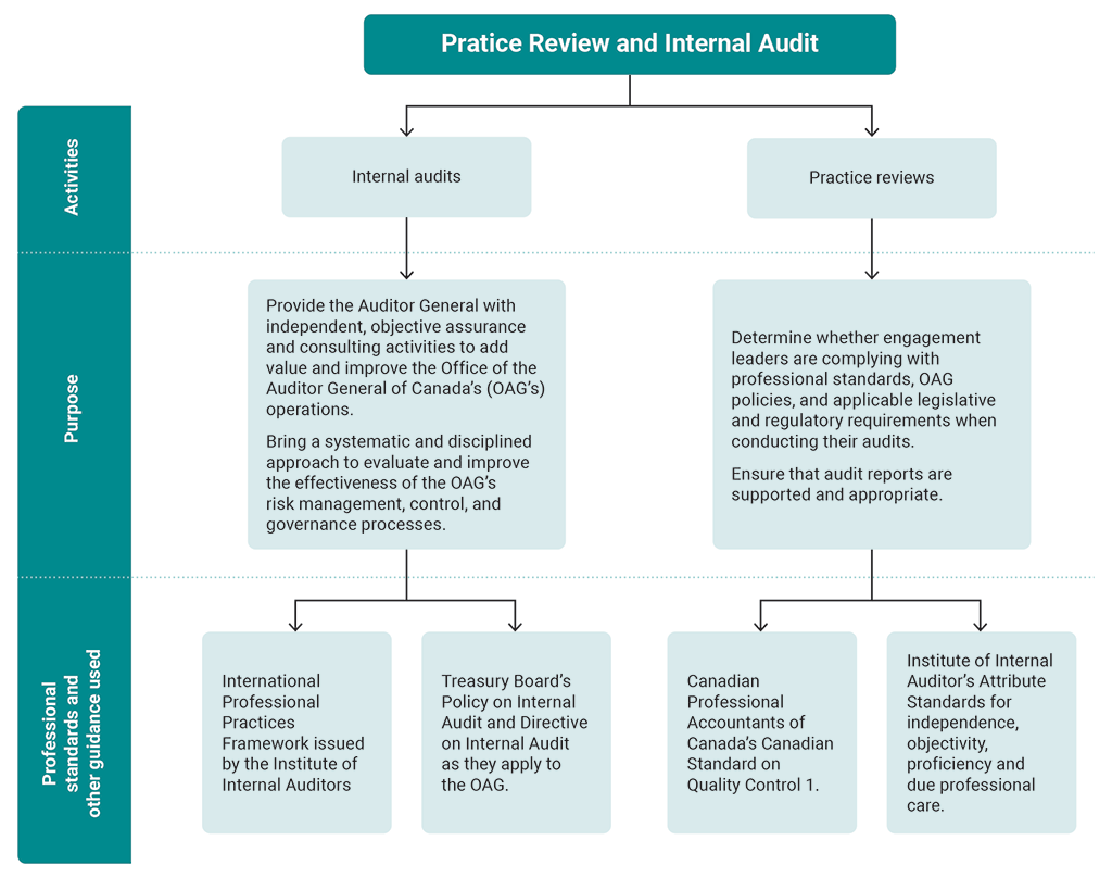 Flowchart showing the scope and purpose of the activities conducted by the Practice Review and Internal Audit team