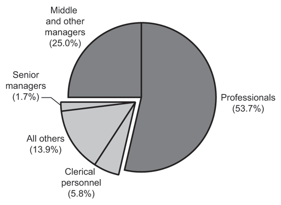 Pie Chart showing the distribution of employees in the Office of the Auditor General of Canada according to major occupational groups