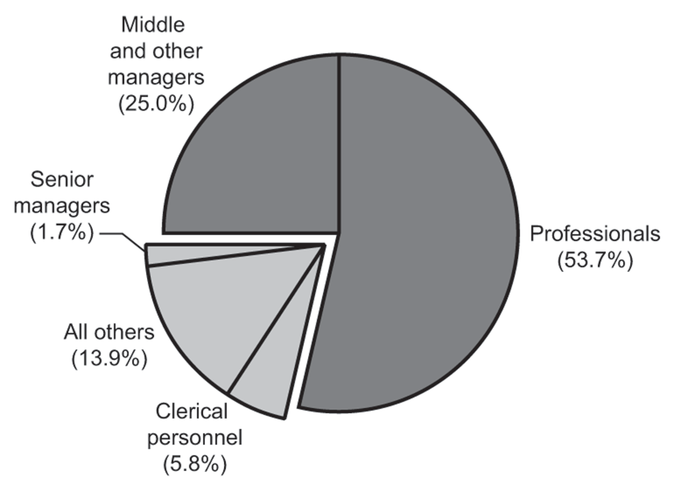 Pie Chart showing the distribution of employees in the Office of the Auditor General of Canada according to major occupational groups Pie Chart showing the distribution of employees in the Office of the Auditor General of Canada according to major occupational groups