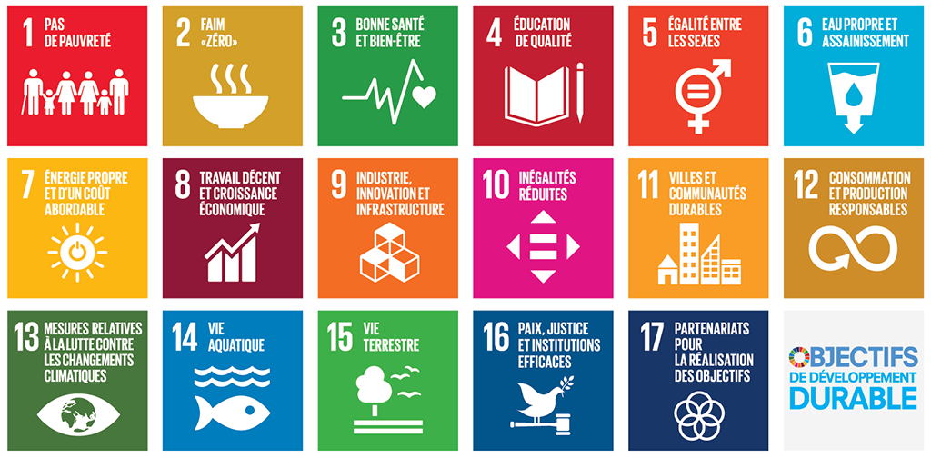 Image illustrant les 17 objectifs de développement durable des Nations Unies