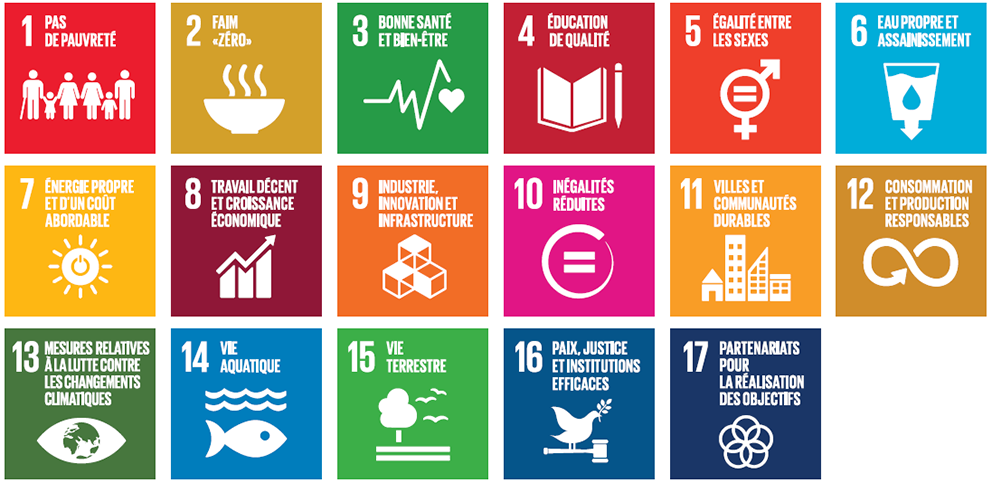 Les Objectifs de développement durable des Nations Unies