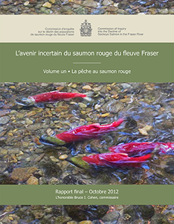 Page couverture du volume 1 du rapport de la Commission Cohen de 2012