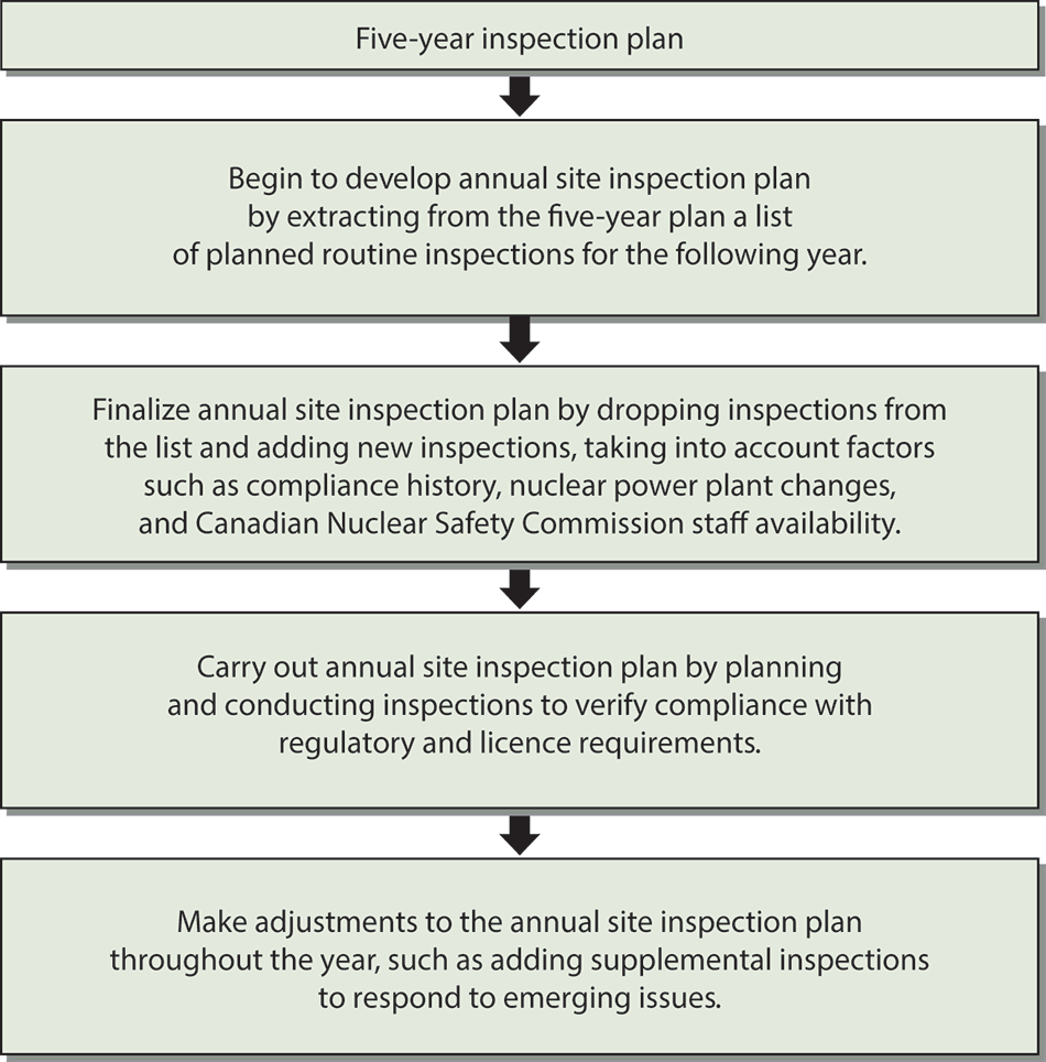 Flow chart showing the planning process for nuclear power plant site inspections