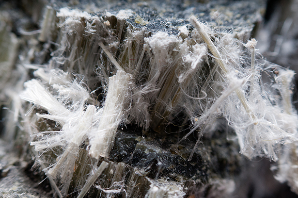 This photograph shows a close-up of chrysotile asbestos fibres