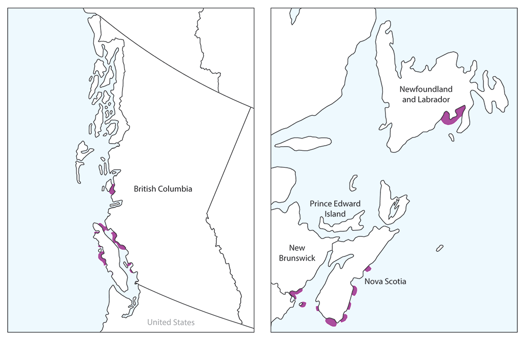 Two maps showing where salmon farms are located along Canada’s west and east coasts