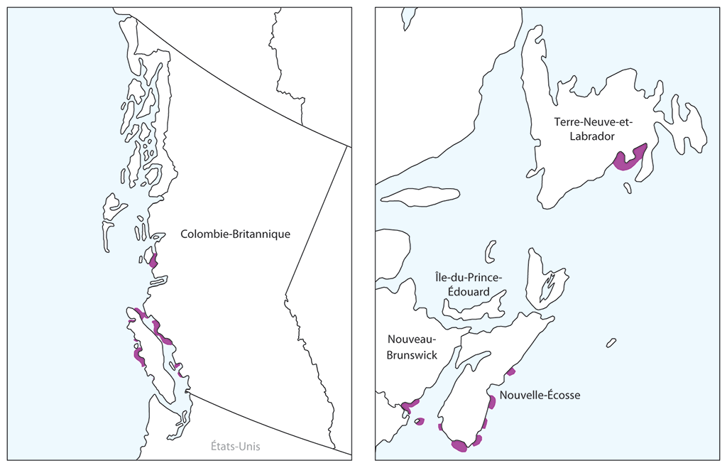 Deux cartes montrant l’emplacement des élevages de saumon le long des côtes est et ouest du Canada