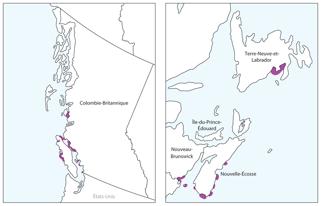 Deux cartes montrant l’emplacement des élevages de saumon le long des côtes est et ouest du Canada Deux cartes montrant l’emplacement des élevages de saumon le long des côtes est et ouest du Canada