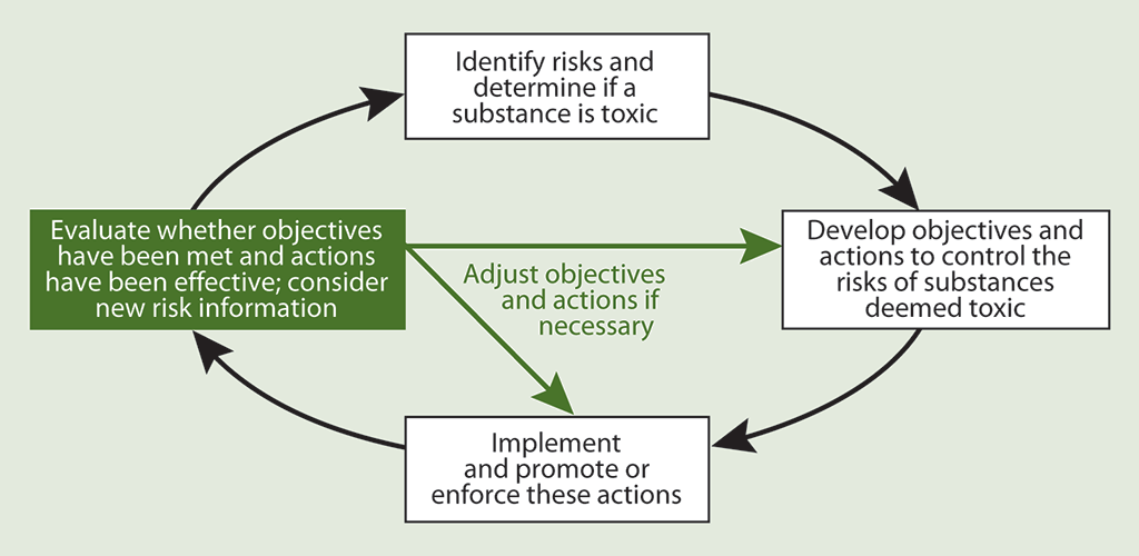 Diagram showing the process that enables departments to control toxic substances and determine whether objectives are being achieved