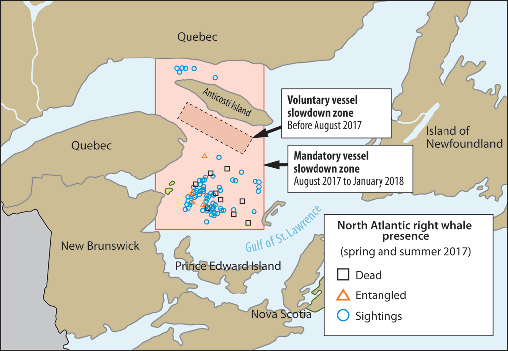 Map showing the vessel slowdown in the Gulf of St. Lawrence for protecting North Atlantic right whales from August 2017 to January 2018