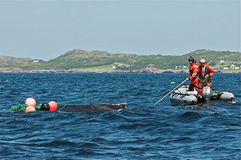 Photo of two people in a small zodiac boat who are disentangling a whale far from shore in waters near Newfoundland and Labrador