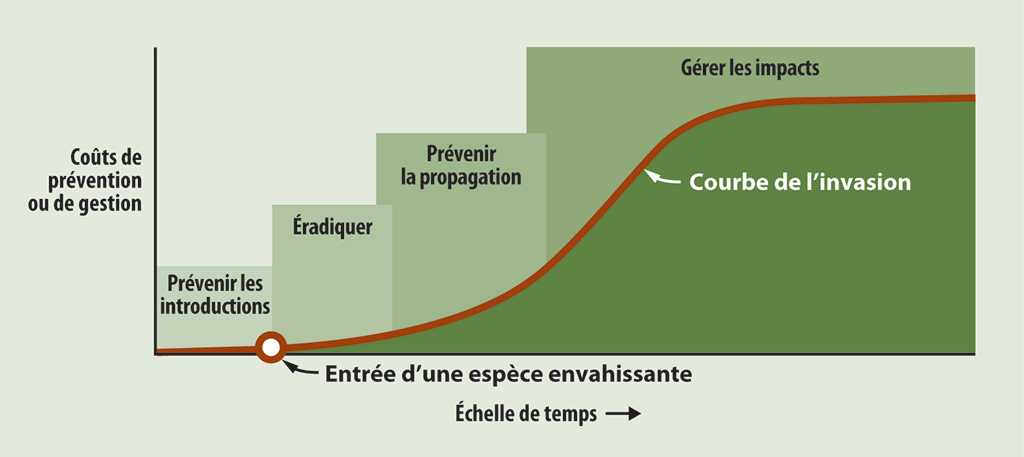 Diagramme montrant qu’il est moins coûteux de prévenir l’introduction d’une espèce aquatique envahissante que de gérer une espèce établie Diagramme montrant qu’il est moins coûteux de prévenir l’introduction d’une espèce aquatique envahissante que de gérer une espèce établie