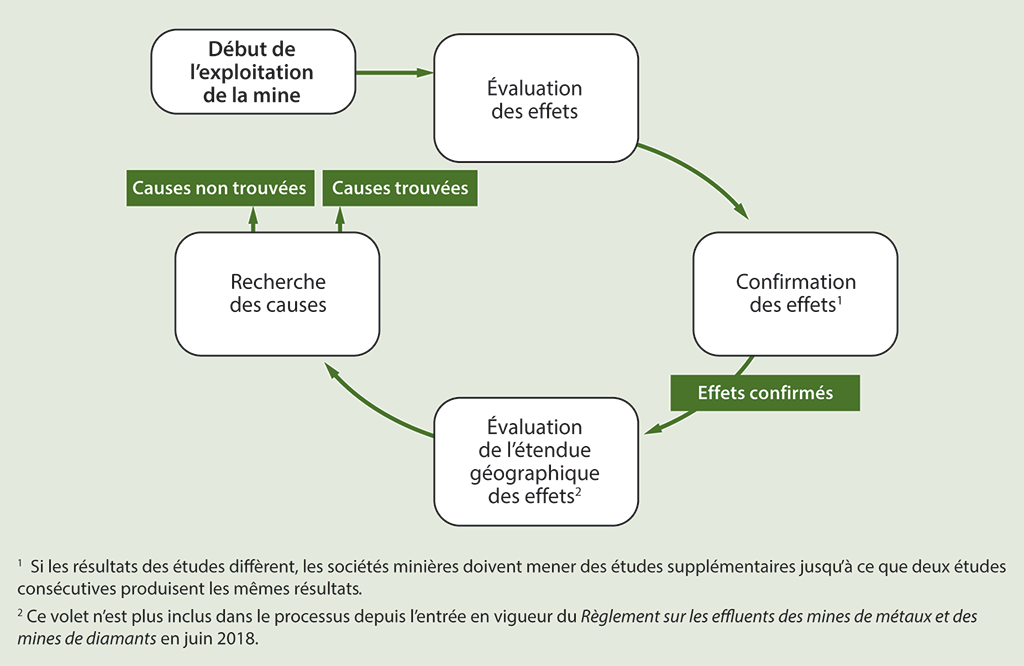 Diagramme illustrant le processus suivi pour évaluer les effets des effluents miniers sur les poissons et leur habitat