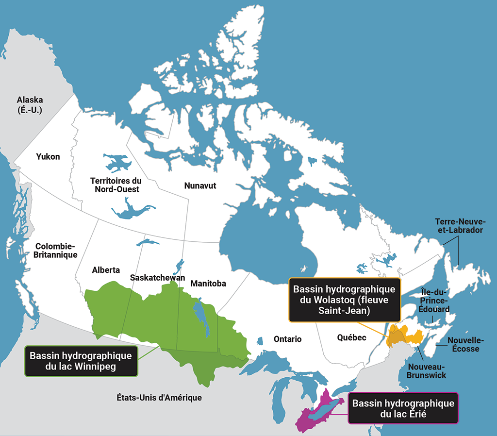 Carte indiquant l’emplacement des bassins hydrographiques du lac Winnipeg, du lac Érié et du Wolastoq (fleuve Saint-Jean)