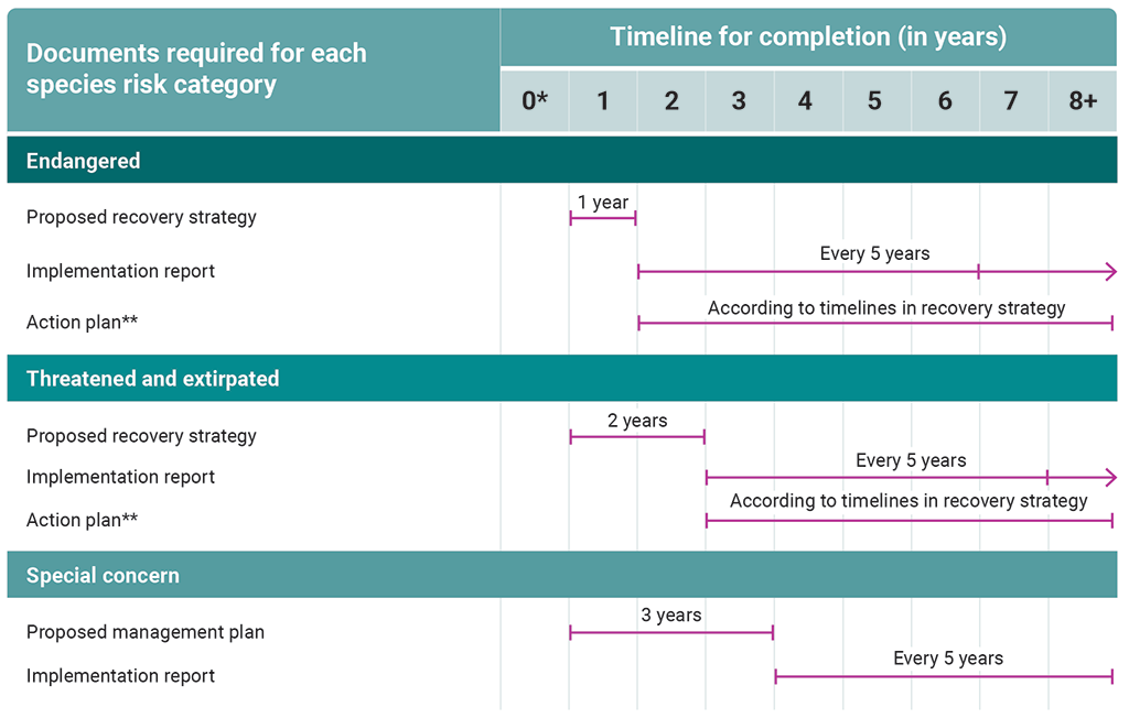 Timelines for completing proposed recovery strategies, actions plans, proposed management plans, and implementation reports