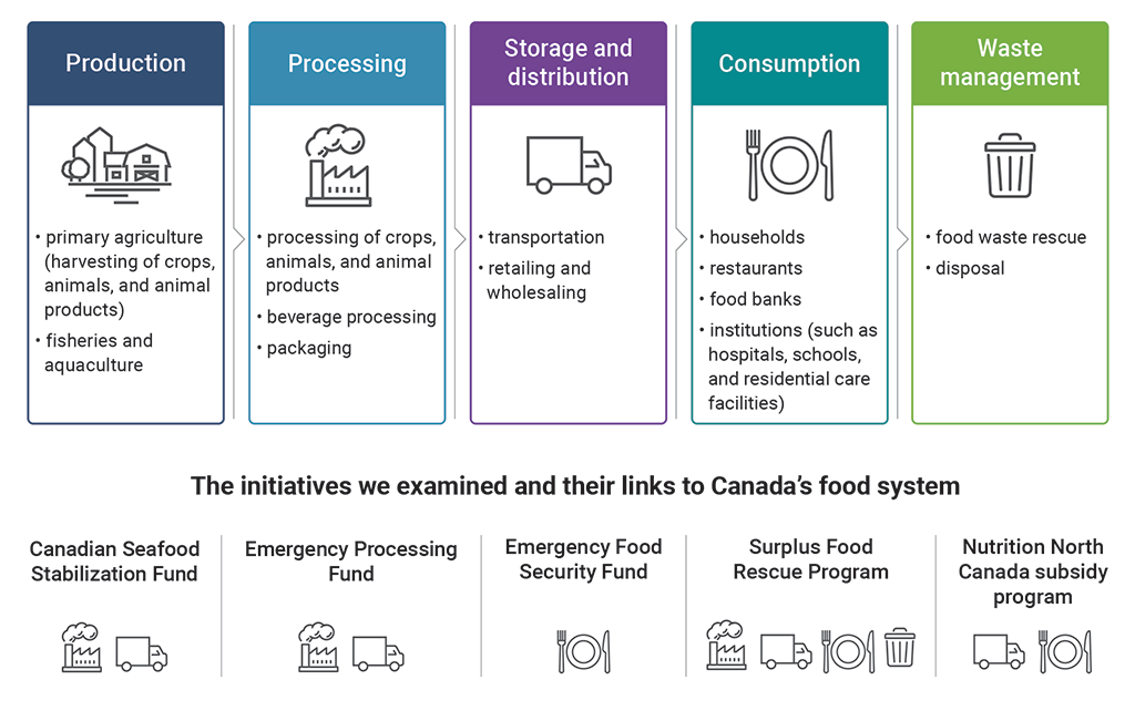 Graphic showing key elements of Canada’s food system, the initiatives examined, and their links to the system