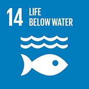 Icon for Goal 14: Life Below Water Icon for Goal 14: Life Below Water